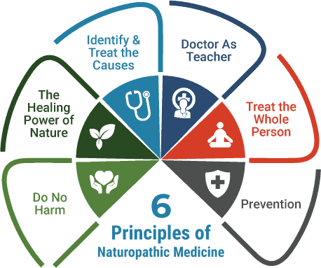 Six Principles of Naturopathic Medicine