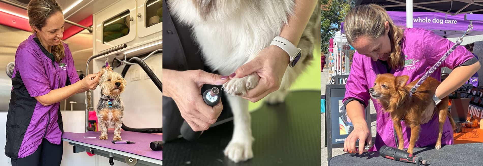 Paw Shapers Mobile Pet Grooming in Jacksonville, FL Decorative Banner of dogs getting their nails trimmed both in the mobile grooming van and at a Pawsday event