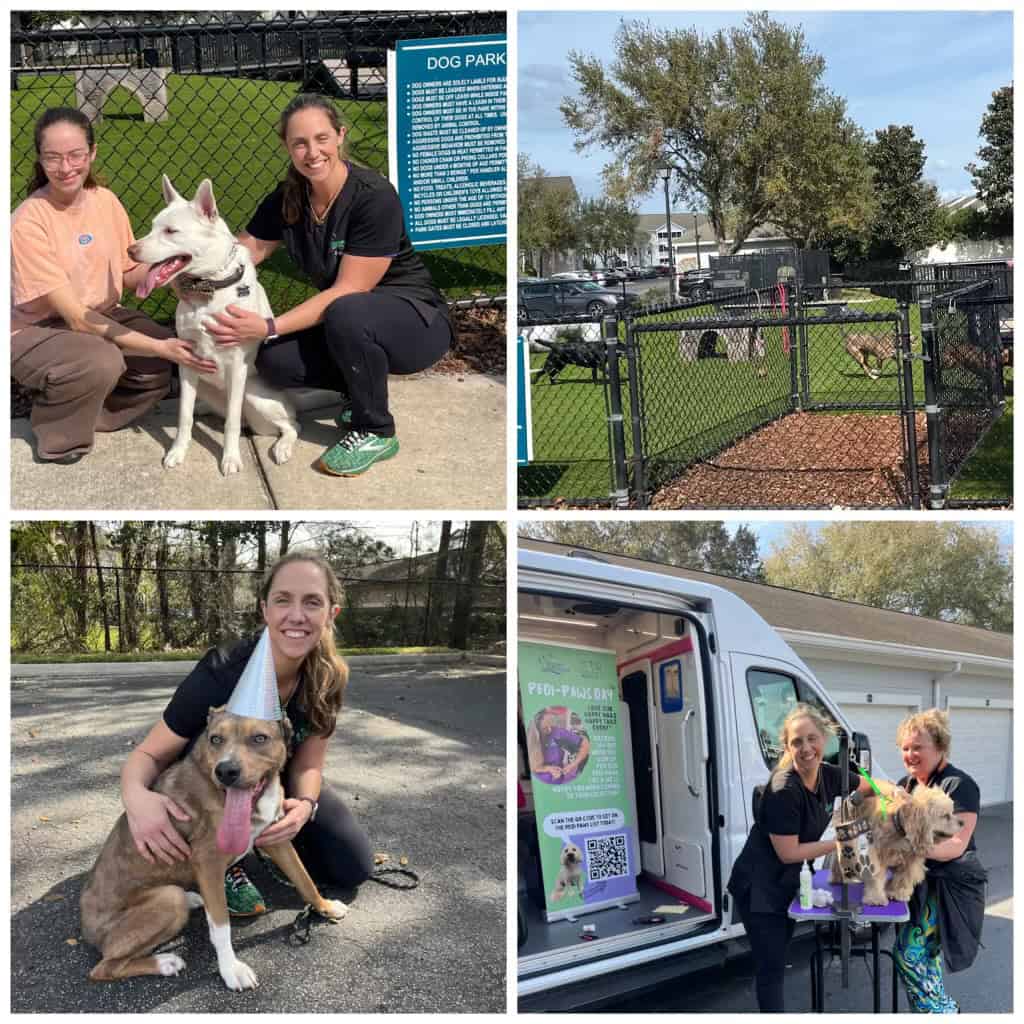 Photo collage of four images showing Erica with happy dogs at a PawsDay grooming event.