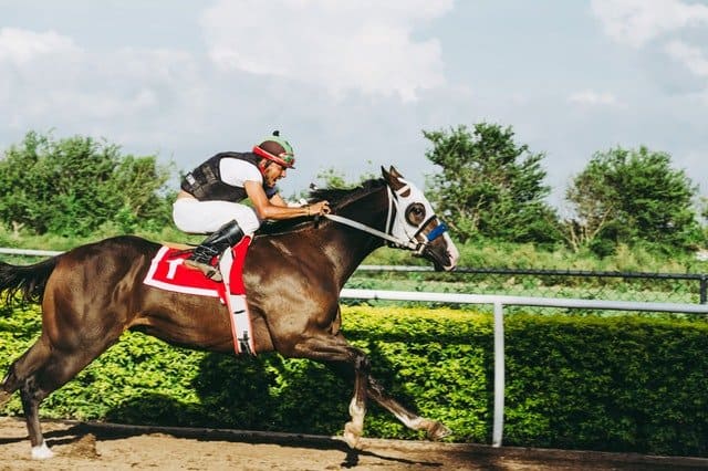 horseracing-gambling