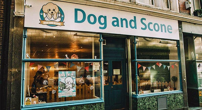 Dog-and-Scone-dog-cafe