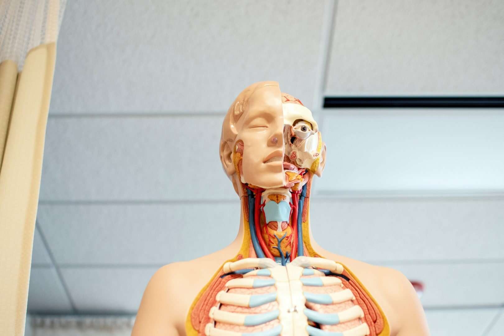 Healthtech startups