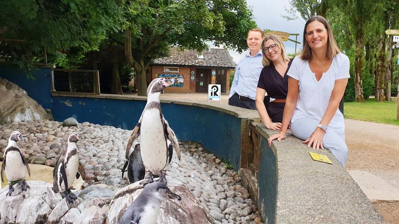 Penguin-PR-team