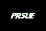 prsue-company-logo