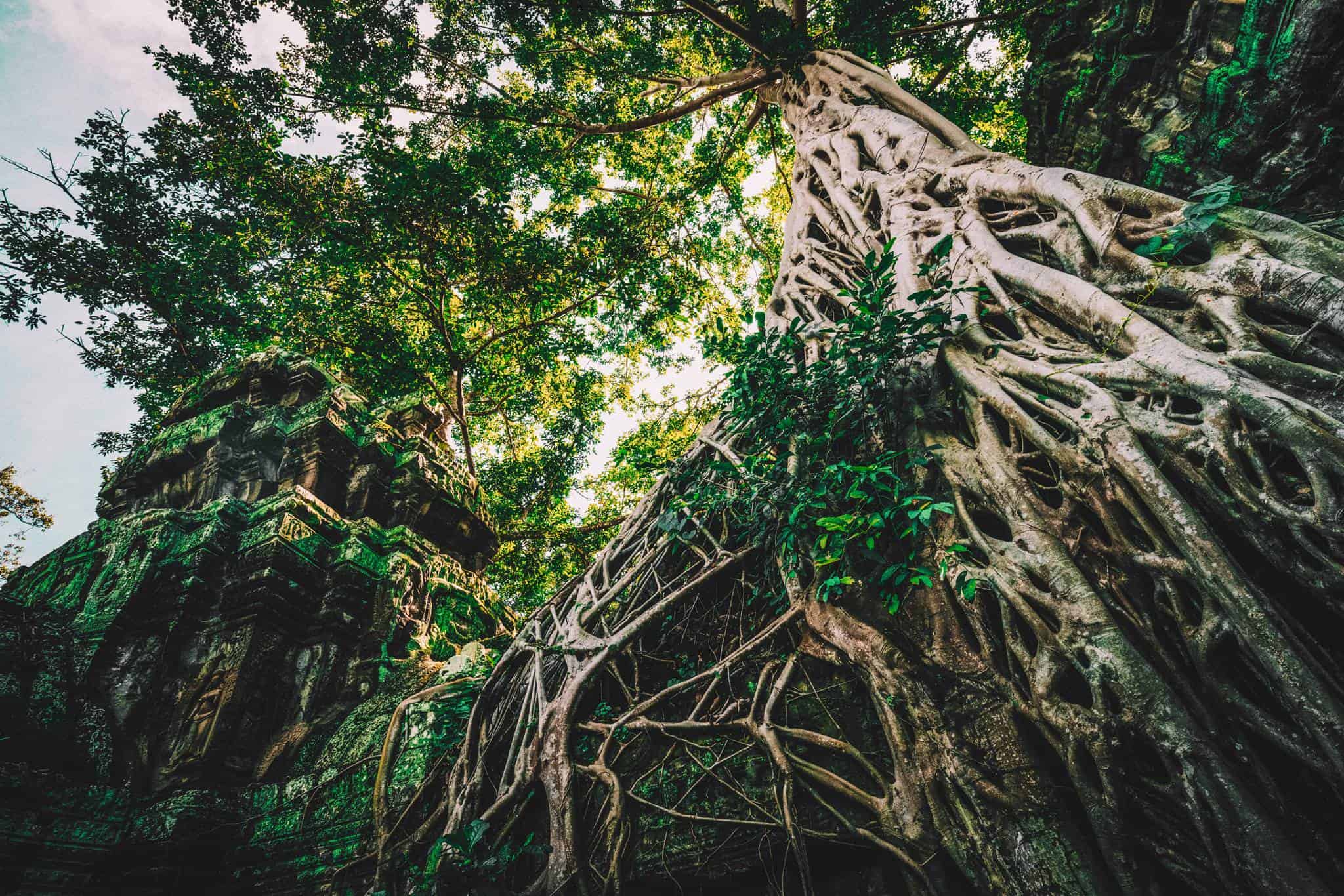 24 Hours In Cambodia With The Zenith El Primero Sport
