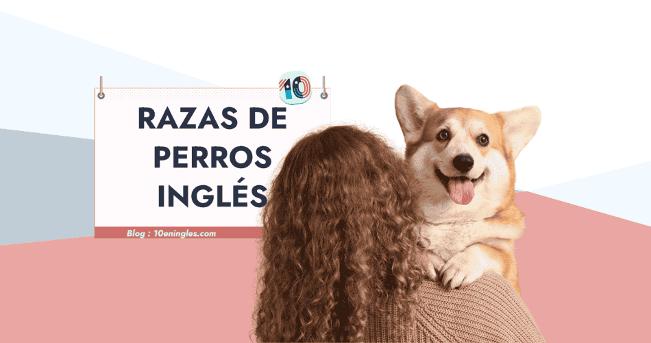 Mujer abrazando a un cachorro Corgi sobre cartel Razas de Perros Inglés