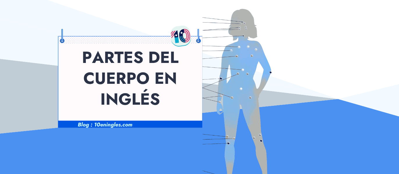 Guía visual y vocabulario completo para aprender las partes del cuerpo en inglés