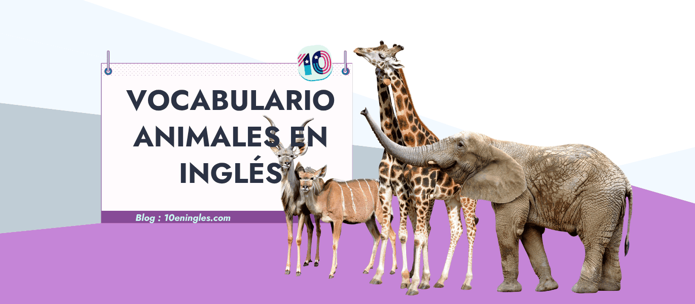 Guía completa de vocabulario de animales en inglés con ejemplos de fauna