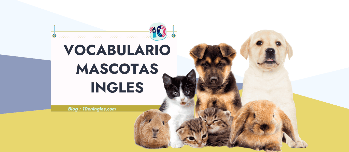 Portada de la guía de vocabulario de mascotas en inglés mostrando cachorros de perro, gatitos, un conejo y una cobaya