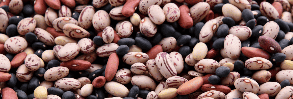 different types of beans