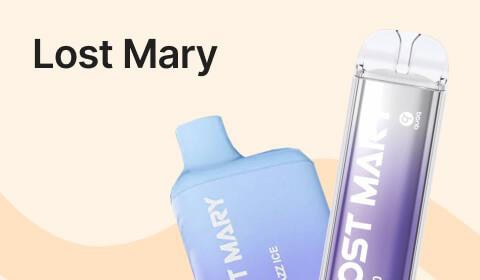 Lost Mary