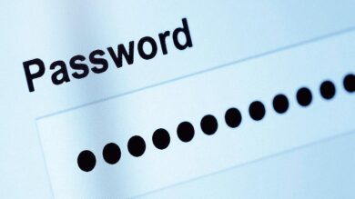 Campo de contraseña en pantalla con texto Password