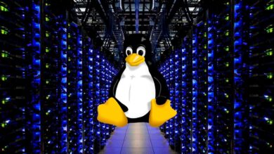 Linux: Un potente componente de los Centros de Datos
