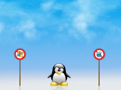 Diferencias Windows 10 y Linux