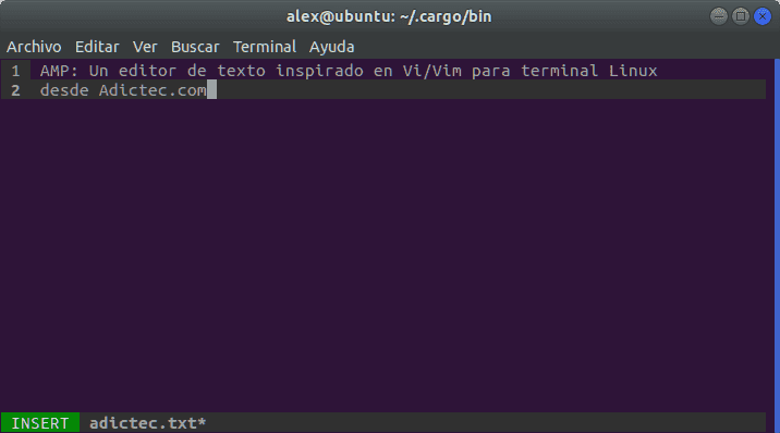 AMP: Un editor de texto inspirado en Vi/Vim para terminal Linux | Adictec