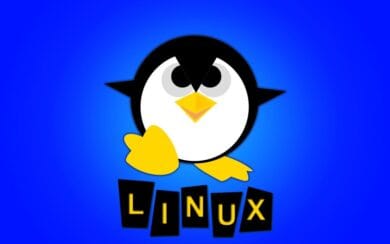 5 Programas imprescindibles para Linux