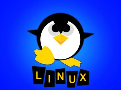 5 Programas imprescindibles para Linux