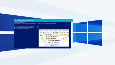 Cómo eliminar el archivo de Hibernación (hiberfil.sys) en Windows 10