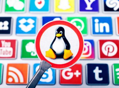 Flathub vs. Snap Store descargar aplicaciones Linux