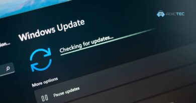 Pantalla de Windows Update buscando la última versión de Windows 11.