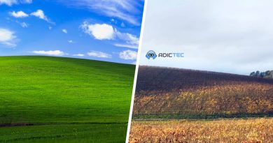 Una imagen dividida que compara el famoso fondo de pantalla "Bliss" de Windows XP (campo verde vibrante) con una foto actual del mismo lugar, mostrando una colina con viñedos en tonos otoñales.