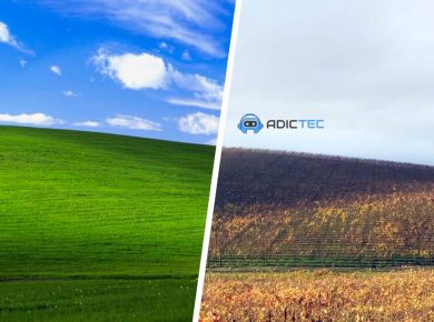 Una imagen dividida que compara el famoso fondo de pantalla "Bliss" de Windows XP (campo verde vibrante) con una foto actual del mismo lugar, mostrando una colina con viñedos en tonos otoñales.