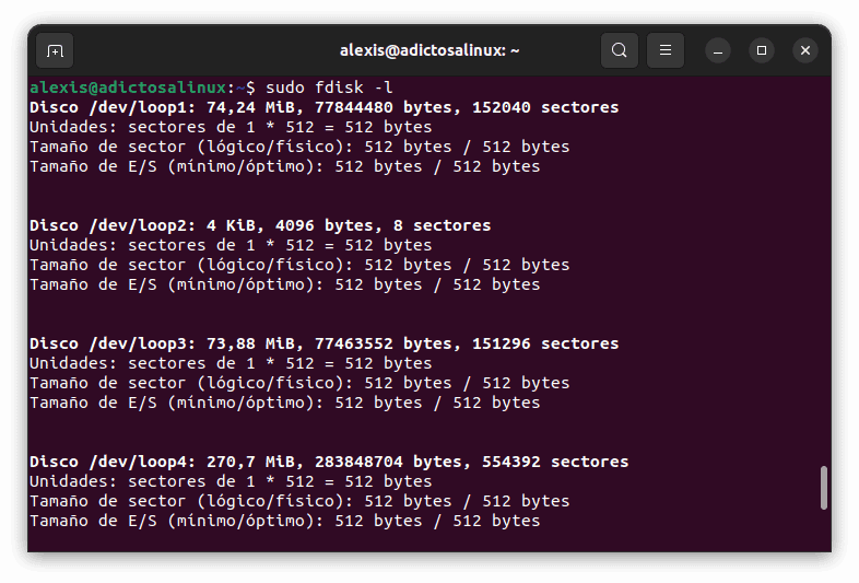 Terminal viendo todos los discos conectados y su tamaño