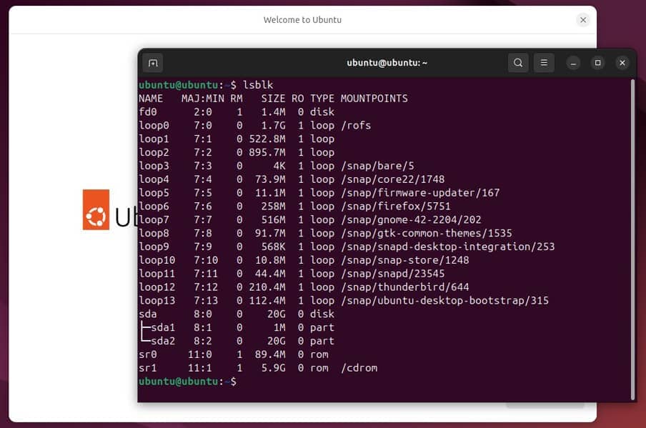Captura de pantalla de una terminal de Linux mostrando el resultado del comando lsblk, utilizado para listar las particiones del sistema y sus puntos de montaje.