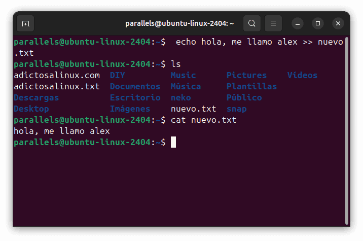 Domina los Comandos Básicos Linux: Guía para Principiantes