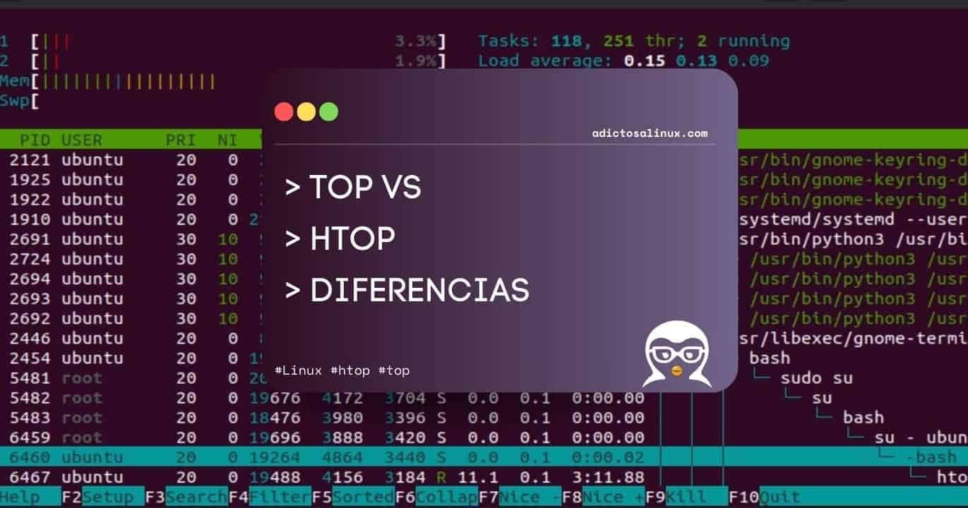 Top vs htop: Diferencias y Guía para elegir el mejor » Blog