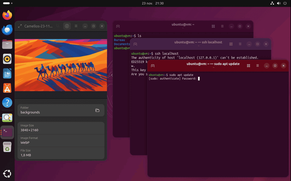 Terminal de Ubuntu ejecutando el comando sudo apt update para actualizar el sistema.
