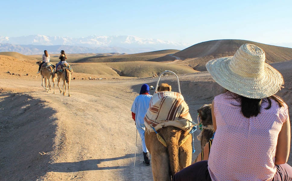 1/2-journée chameau au désert agafay marrakech