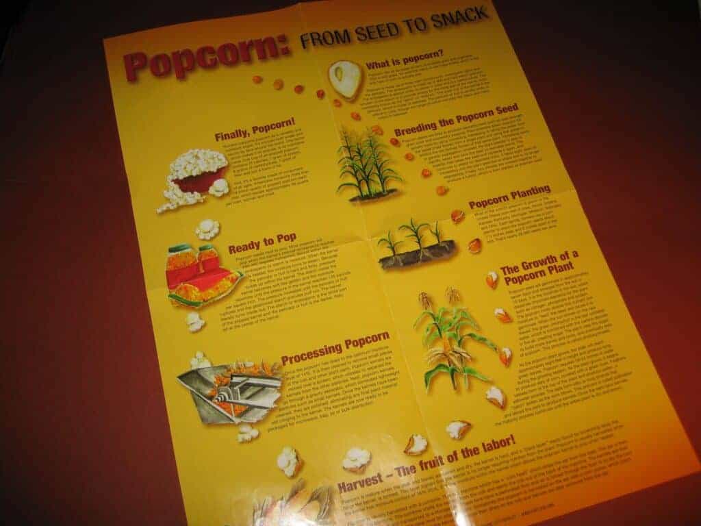 Illustrated poster, the lIfe of a popcorn kernel.
