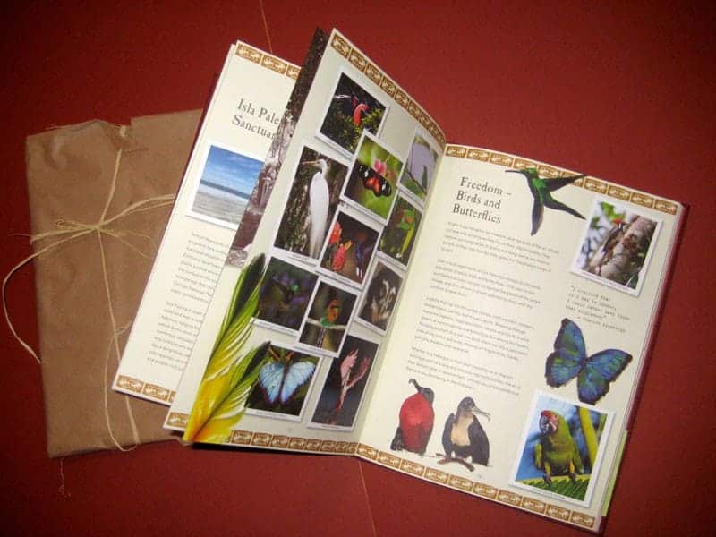 Open book displaying watercolor illustrations.