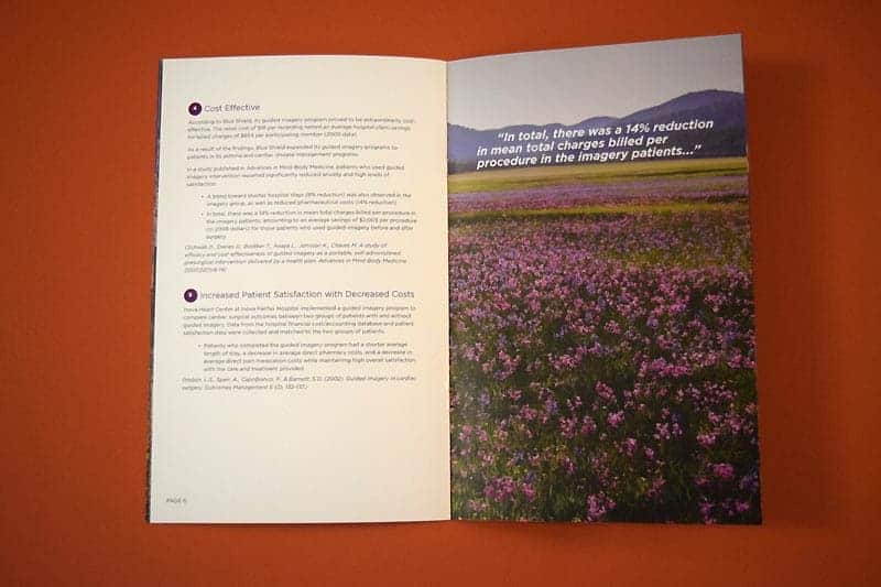 CARE brochure inside spread.