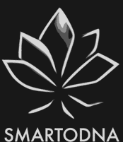 Who we are | Smart Indoor Garden