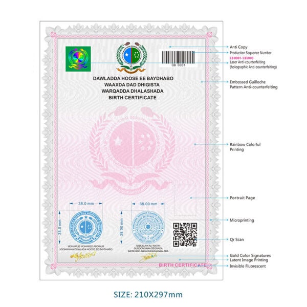 Custom Anti-counterfeiting Birth Certificate - Image 7