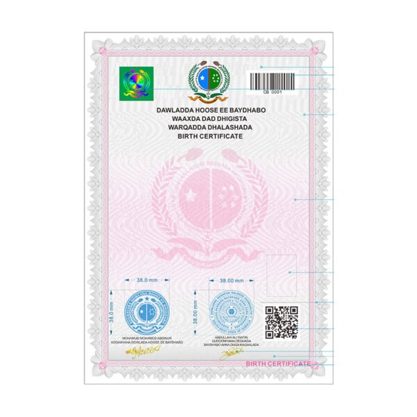 Custom Anti-counterfeiting Birth Certificate