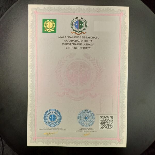 Custom Anti-counterfeiting Birth Certificate - Image 4