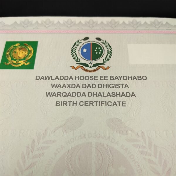 Custom Anti-counterfeiting Birth Certificate - Image 3