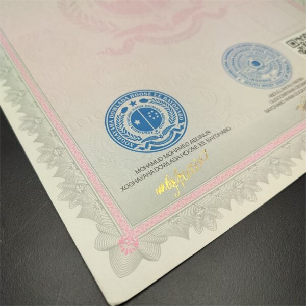 Custom Anti-counterfeiting Birth Certificate - Image 5