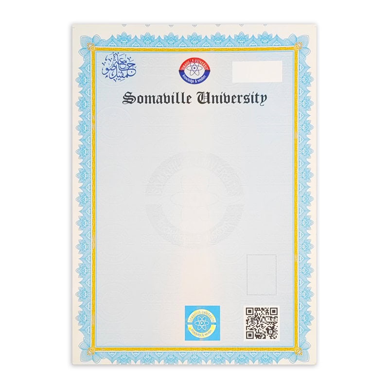 Customized Logo Printing University Transcript Security Paper - ASY ...