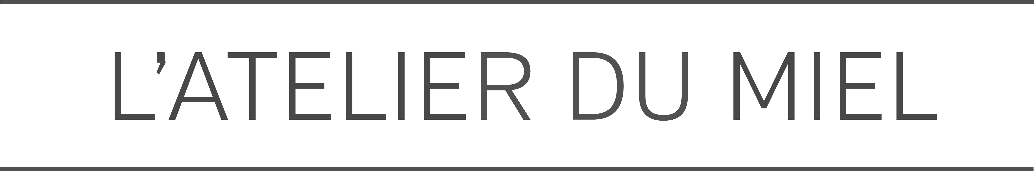 logo light