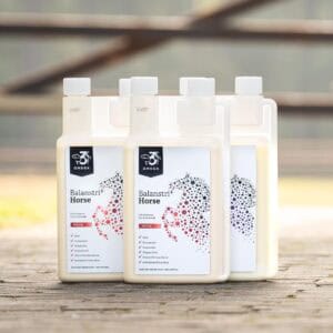 Balanstri Move glucosamine paard