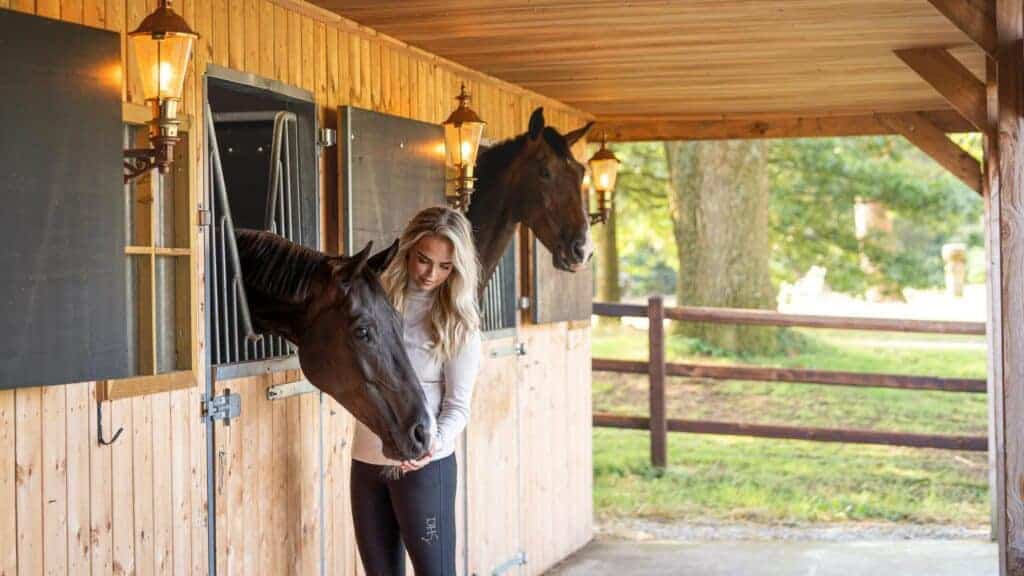 stress bij paarden - Balanstri