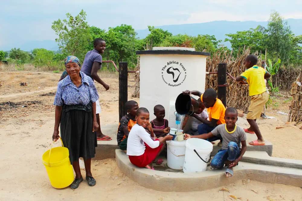 Charity Partnerships