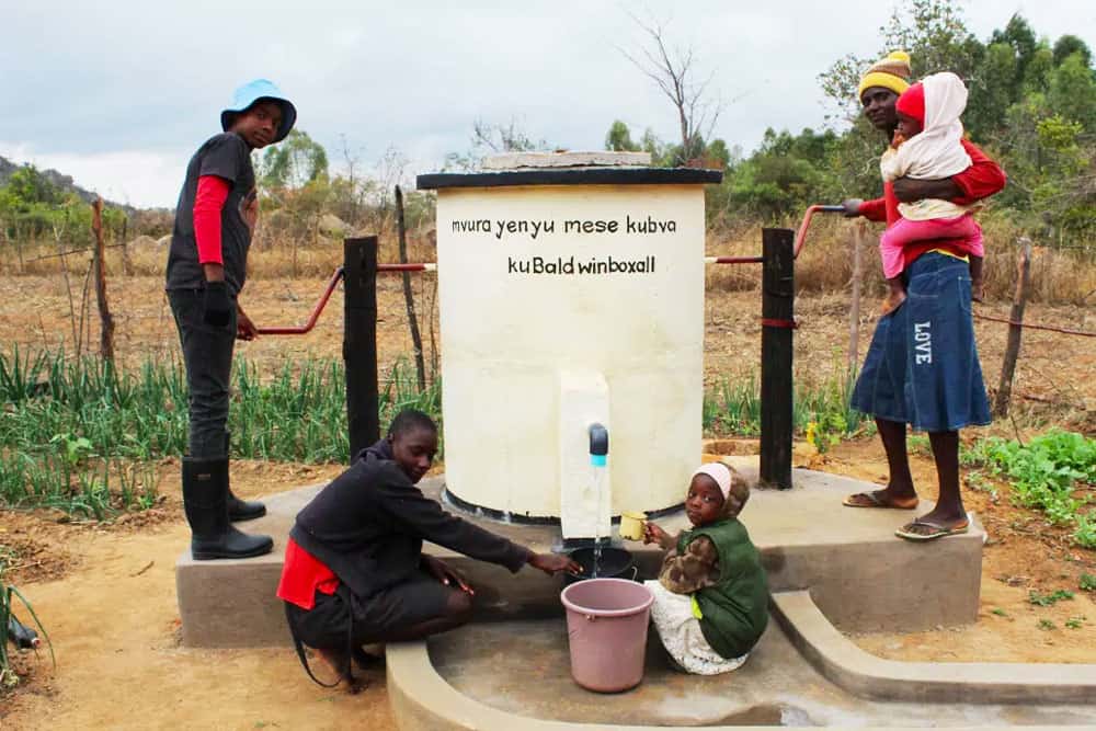 Elephant Pumps in Africa