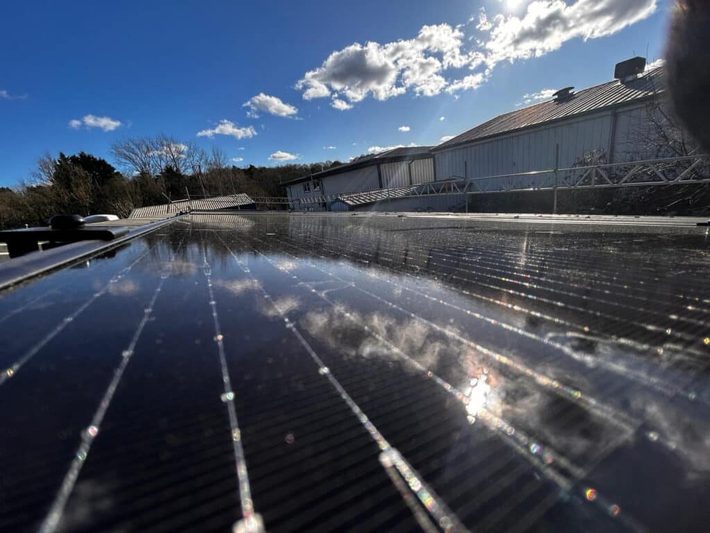 Company Focus: Business Commitment to Sustainability