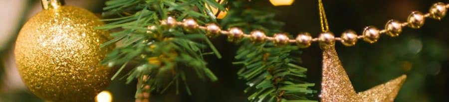 christmas newsletter