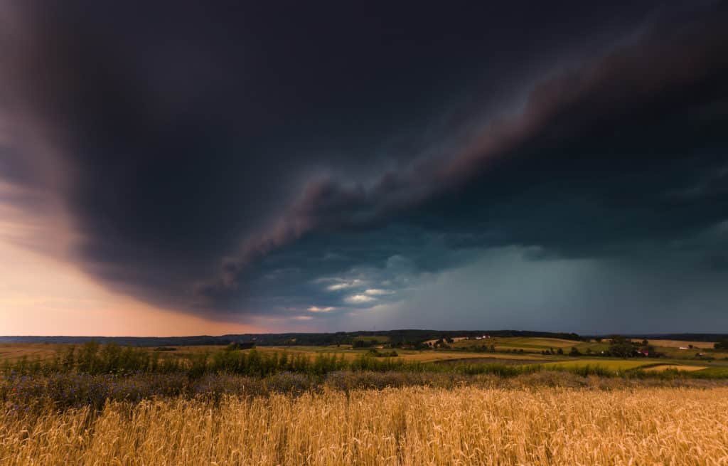 Nuvens de tempestade sobre um campo de trigo. Tempo perigoso com céu escuro sobre os campos